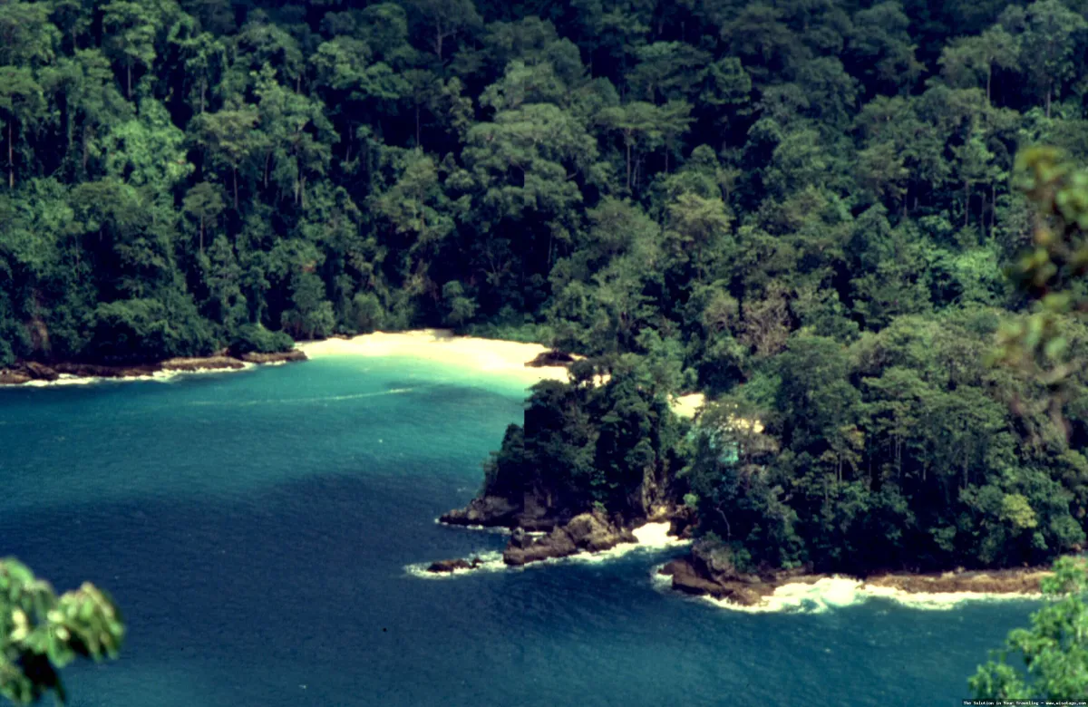 Pantai Sukamade, keindahan alam menawan