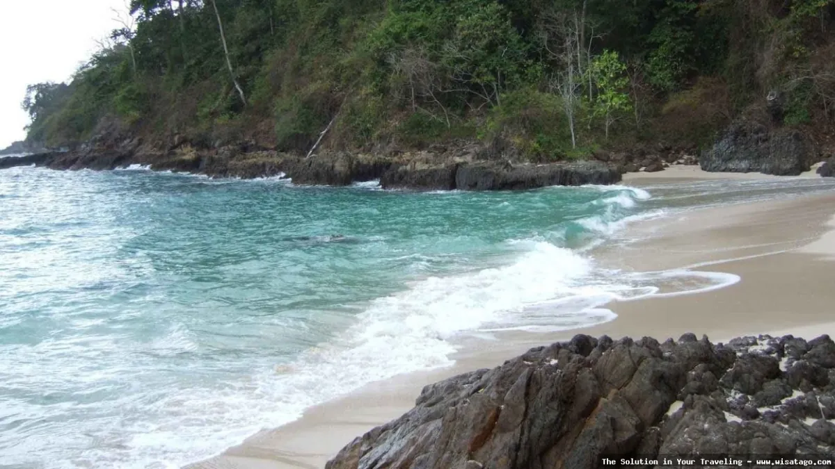 Pantai Sukamade, keindahan alam lestari