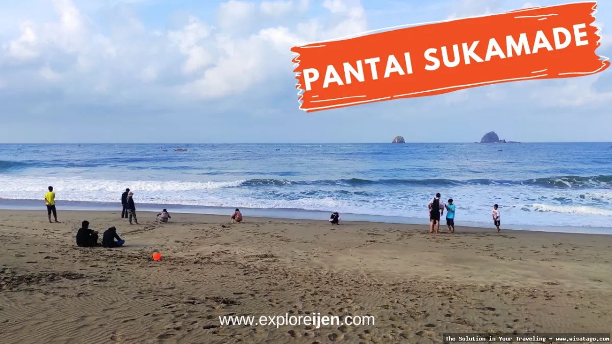Pantai Sukamade, pasir dan penyu