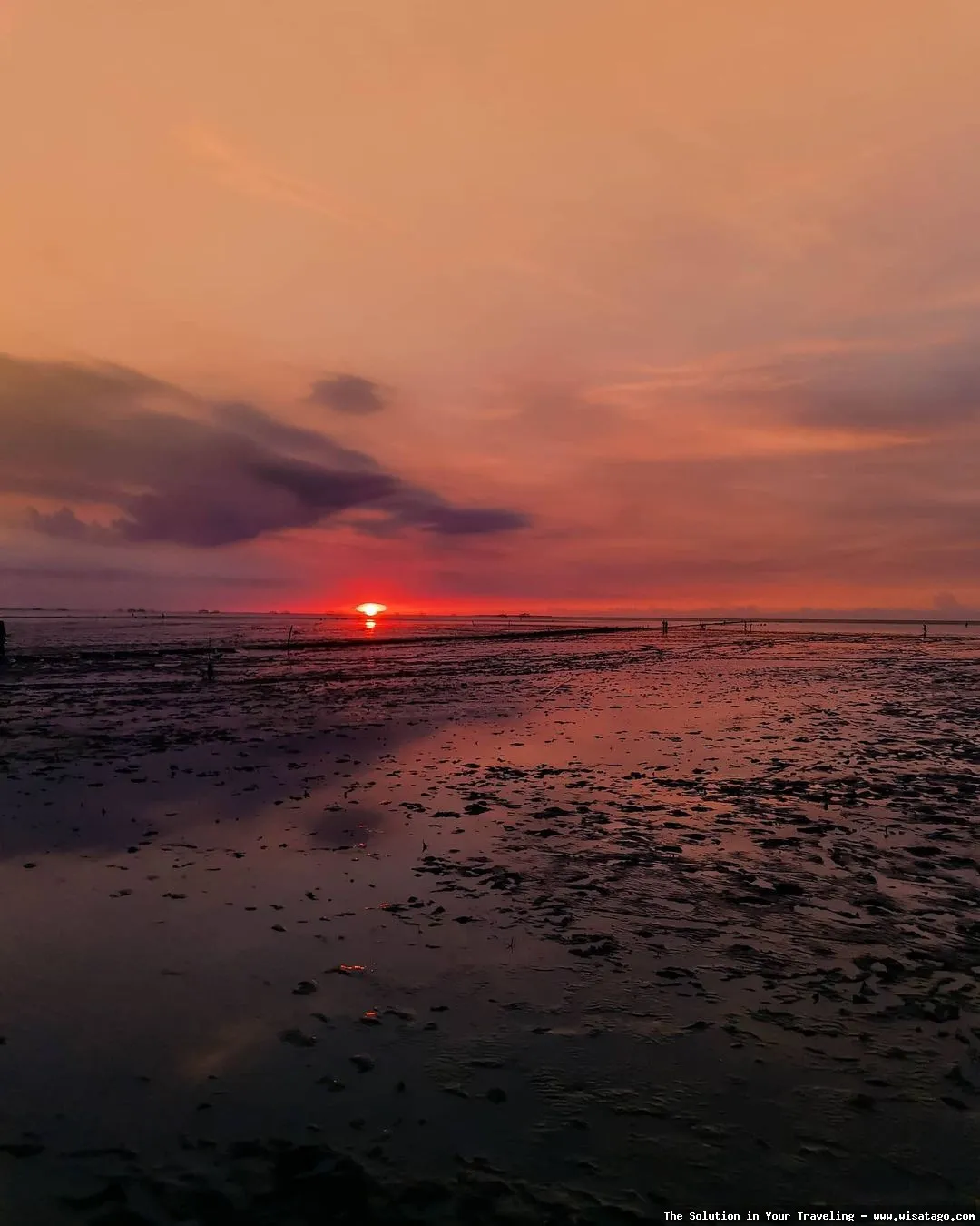 Pantai Tambak Asri: Tips, Harga Tiket, Kuliner, Lokasi, Fasilitas dan Spot