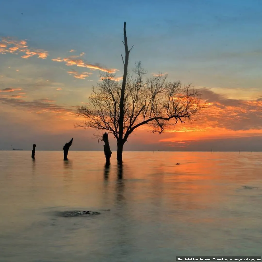 Pantai Tanjung Bemban: pasir putih memukau