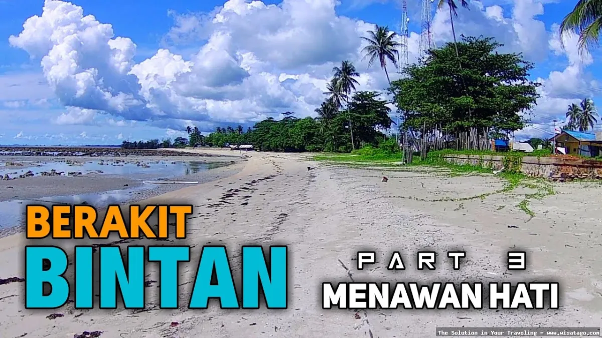 Pantai Tanjung Berakit, pasir putih memukau