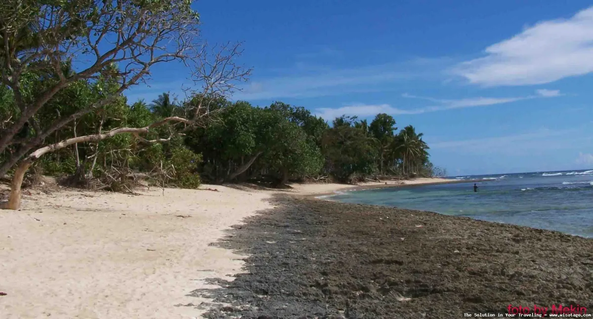 Pantai Tanjung Setia yang mempesona.