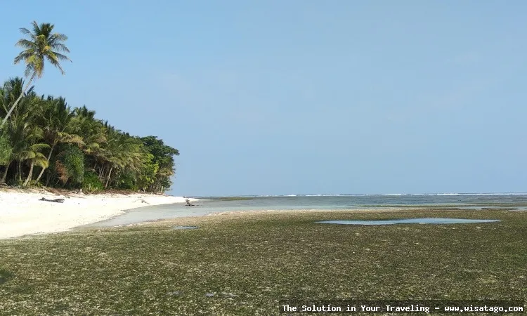 Pantai Tanjung Setia, ombaknya memukau
