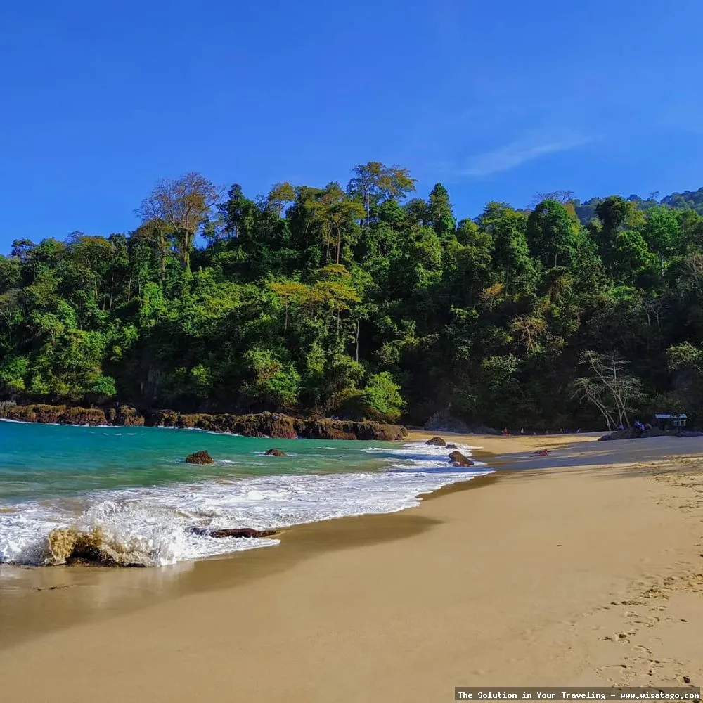 Pantai Teluk Hijau dengan pasir putih