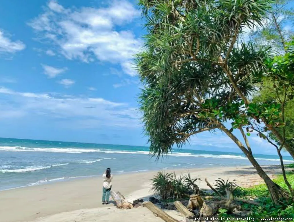 Pantai Teluk Sepang: Tips, Harga Tiket, Kuliner, Lokasi, Fasilitas dan Spot Pantai Teluk Sepang: Tips, Harga Tiket, Kuliner, Lokasi, Fasilitas dan Spot