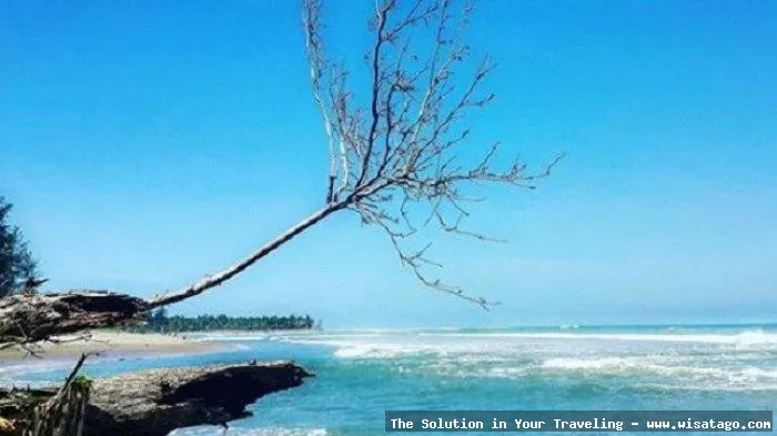 Pantai Teluk Sepang yang indah menawan