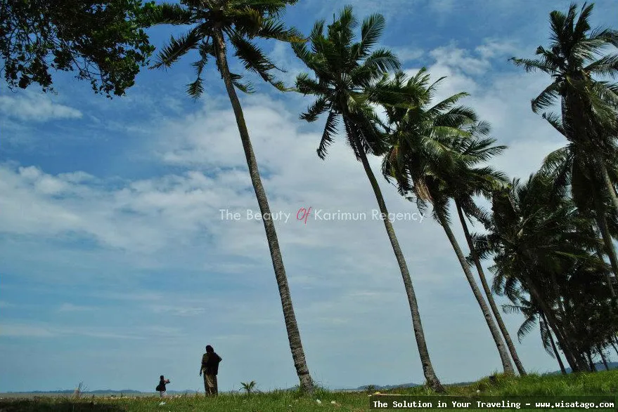 Pantai Timun, pemandangan tepi laut.