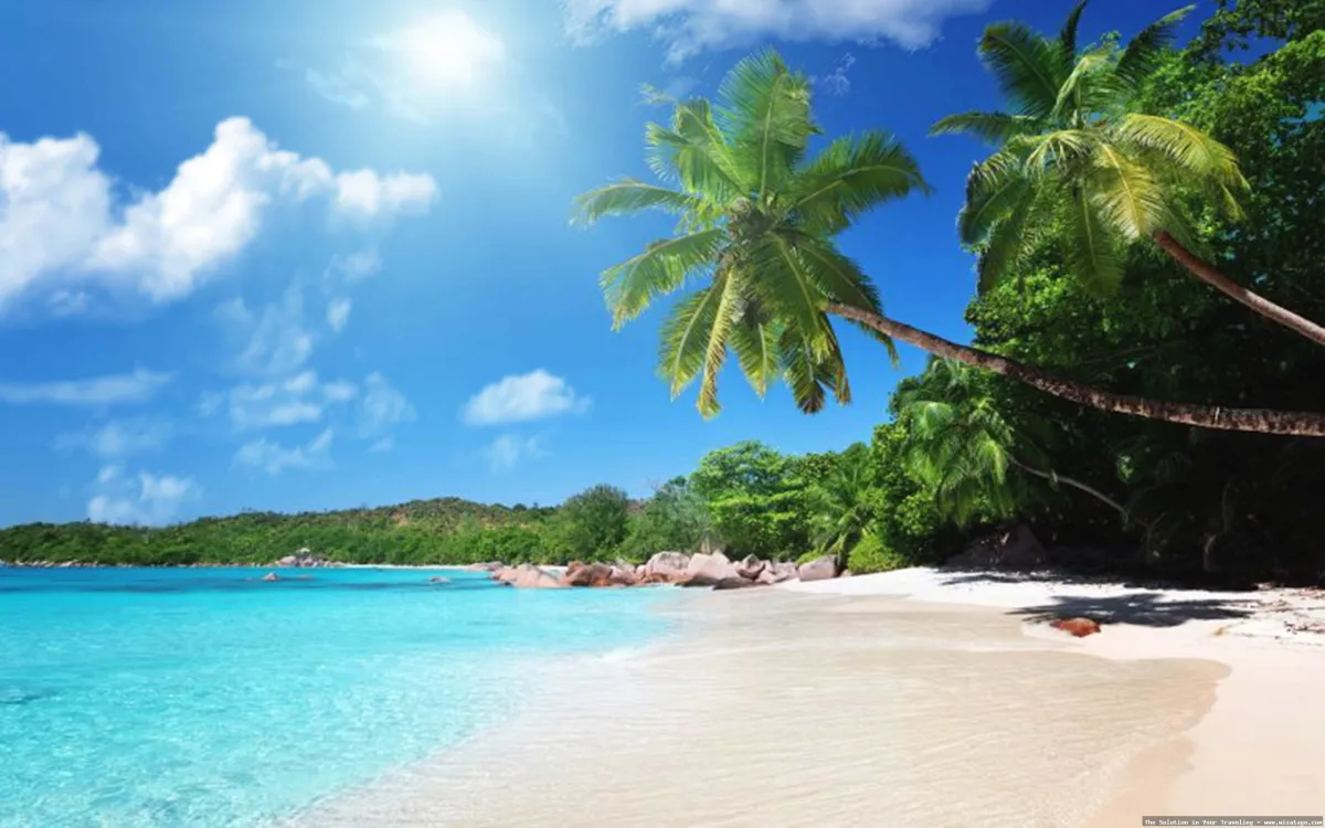 Pantai Trikora: Tips, Harga Tiket, Kuliner, Lokasi, Fasilitas dan Spot Pantai Trikora: Tips, Harga Tiket, Kuliner, Lokasi, Fasilitas dan Spot