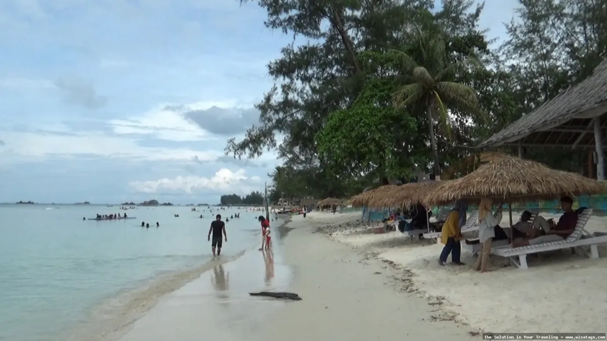 Pantai Trikora: pesona pasir putih.