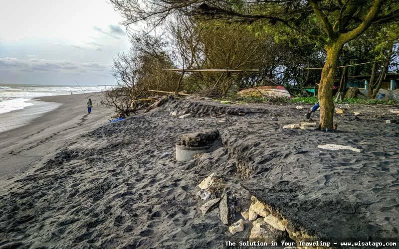 Pantai Trisik: pemandangan tepi pantai