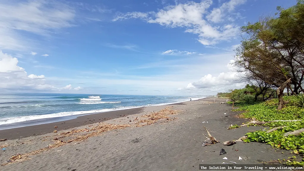Pantai Trisik: pemandangan laut selatan.