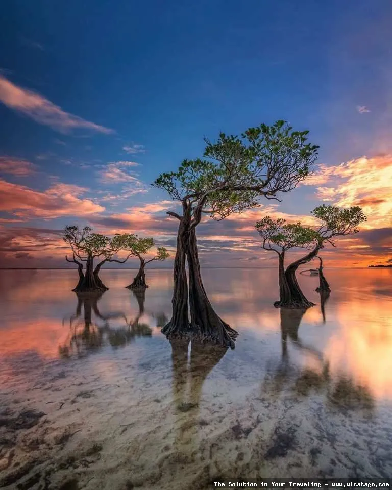 Pantai Walakiri: Tips, Harga Tiket, Kuliner, Lokasi, Fasilitas dan Spot Pantai Walakiri: Tips, Harga Tiket, Kuliner, Lokasi, Fasilitas dan Spot