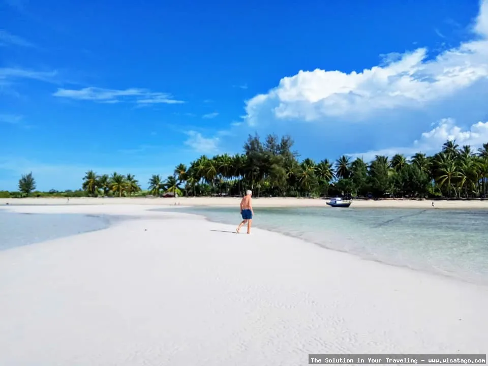 Pantai Walakiri: siluet pohon menari.