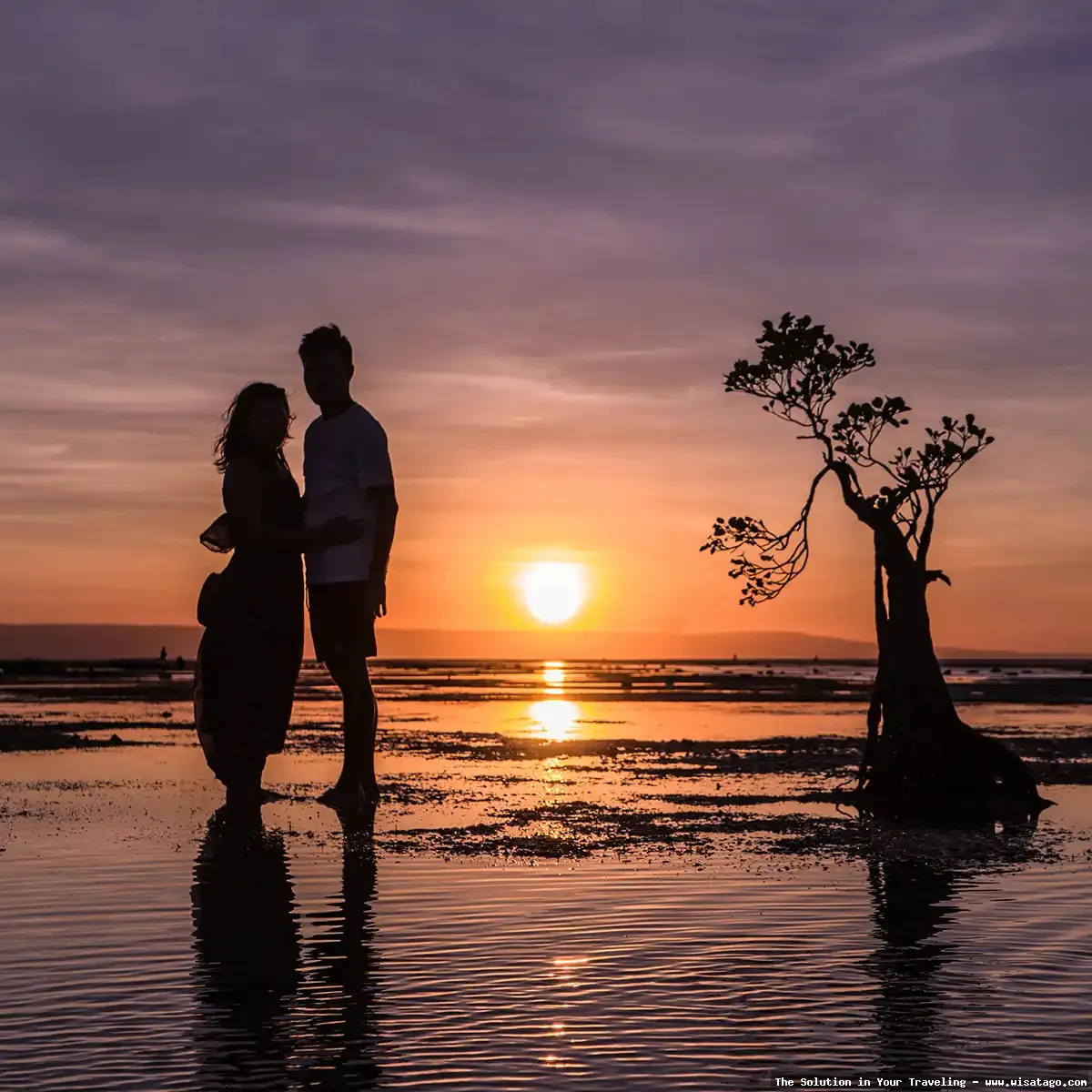 Pantai Walakiri: siluet pohon menari.