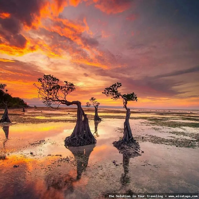 Pantai Walakiri, pesona sunset memukau