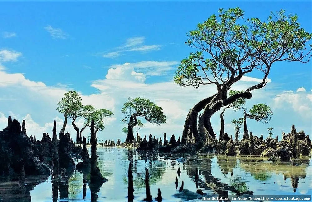 Pantai Walakiri saat matahari terbenam