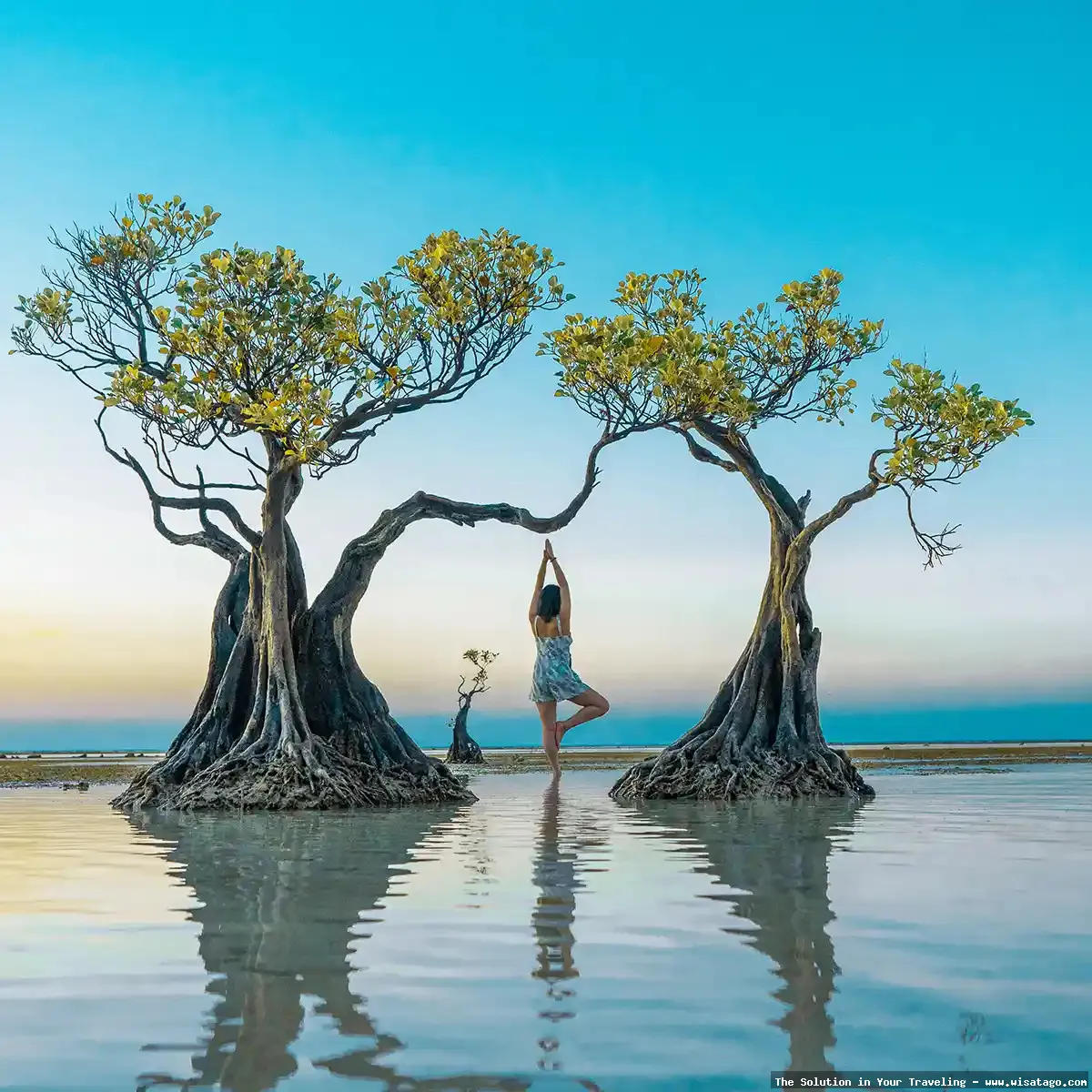 Pantai Walakiri: siluet pohon menari.