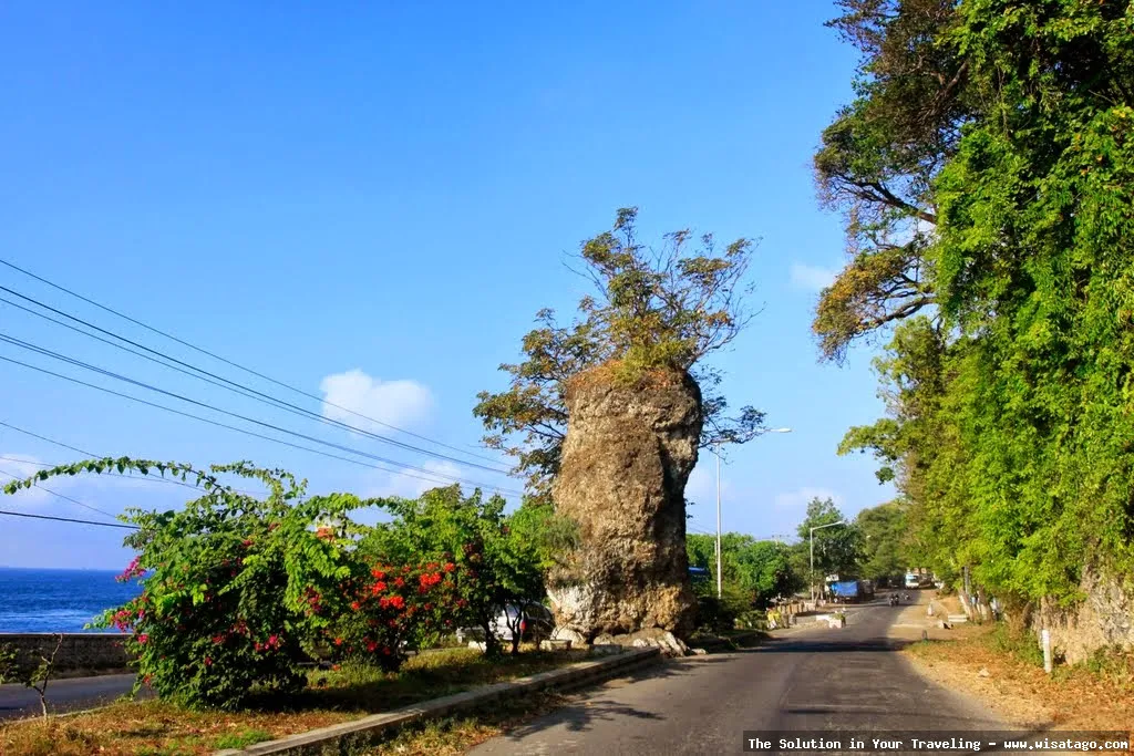 Pantai Watu Dodol, pemandangan indah