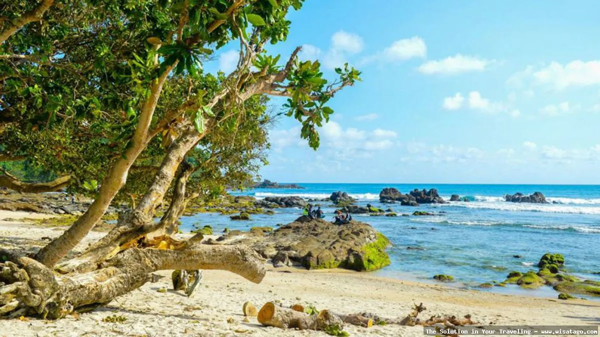Pantai Wediombo Gunungkidul: Tips, Harga Tiket, Kuliner, Lokasi, Fasilitas dan Spot