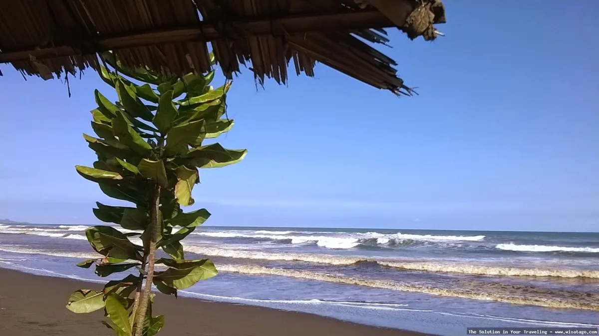 Pantai Widarapayung dengan pasir lembut