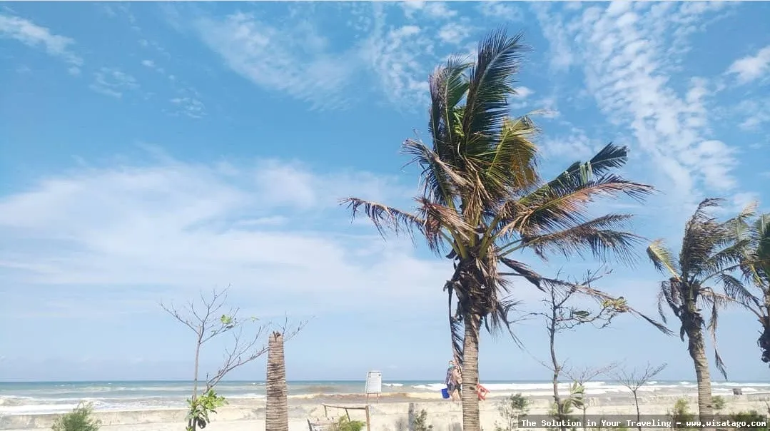 Pantai Widarapayung dengan pasirnya yang luas