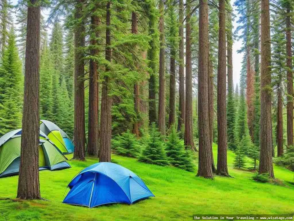 PDKS Camping seru dan menyenangkan