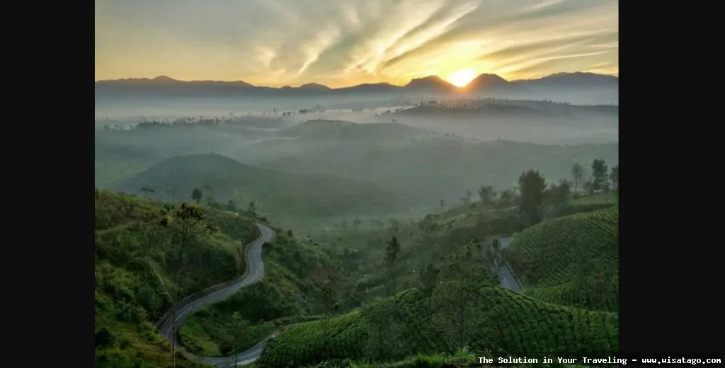 Pemandangan Arak Arak yang memukau