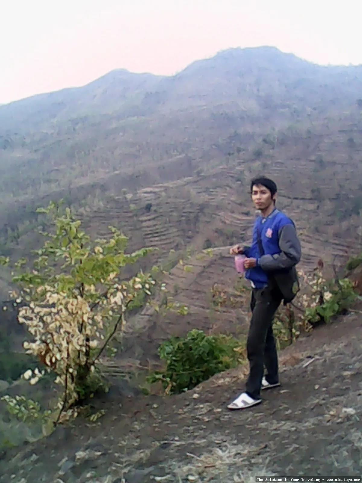 Pemandangan Arak Arak yang menawan