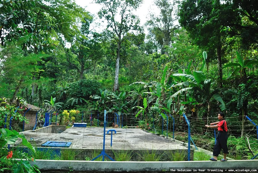 Pemandian Umbulan, kesegaran air alami