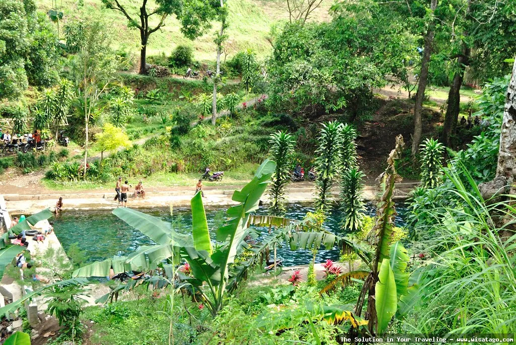 Pemandian Umbulan: kesegaran air alami