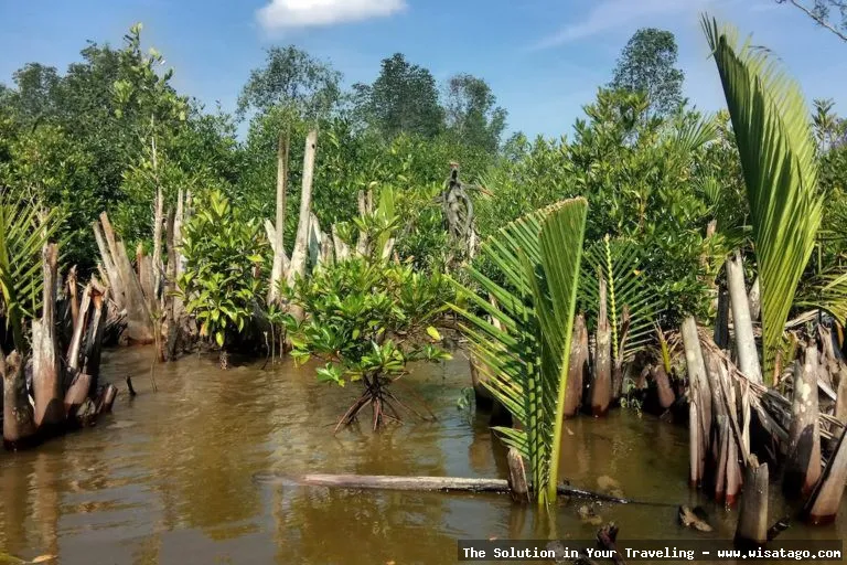 Perigi Putri Kepulauan Riau yang sakral
