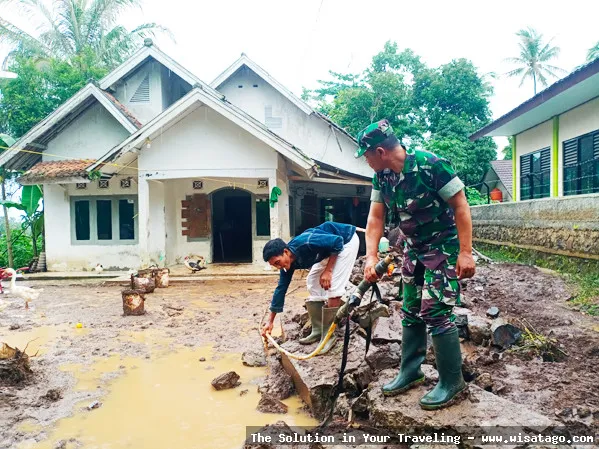 Perkebunan Buah Naga Zore yang subur
