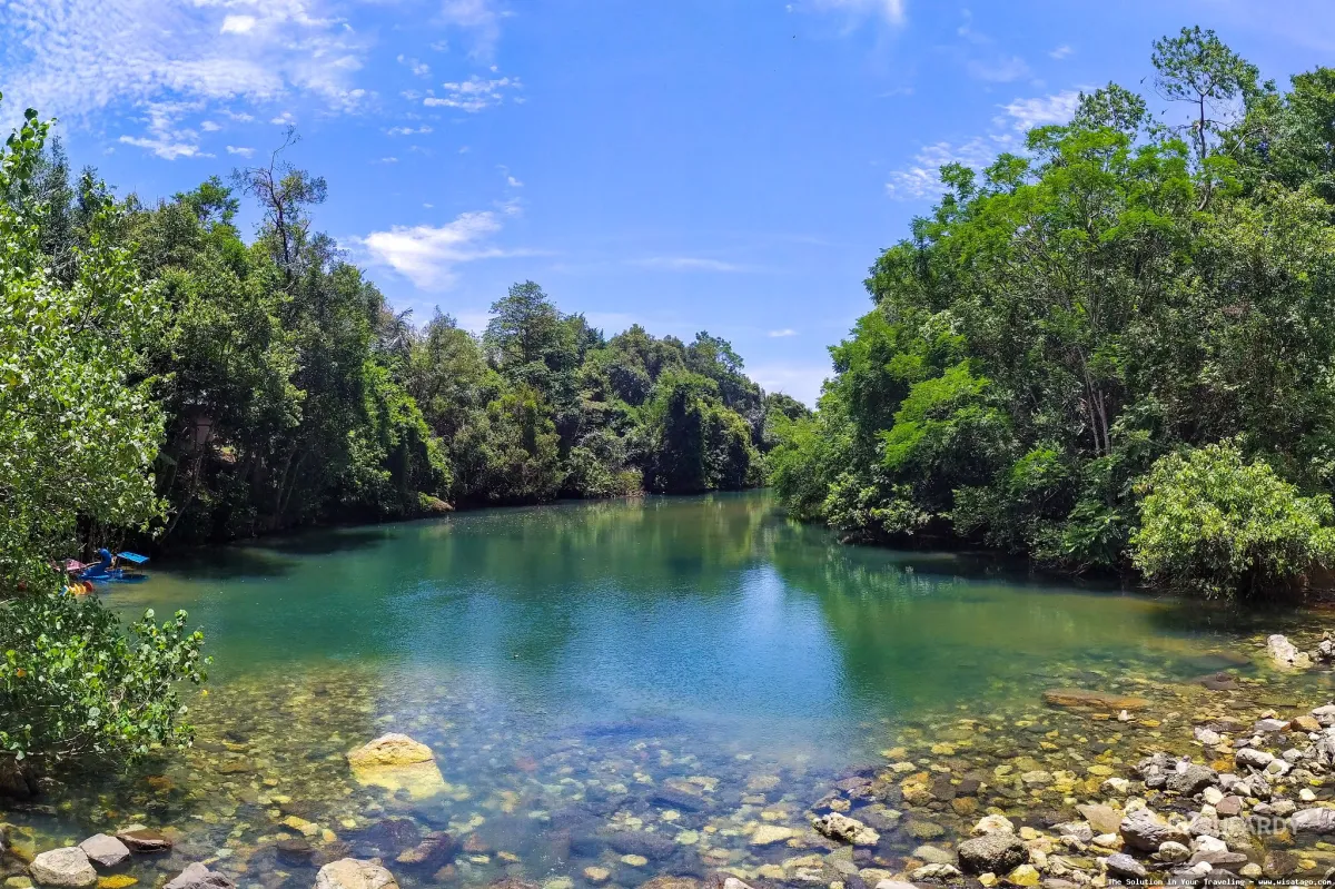 Pucok Krueng, hidangan khas Aceh.
