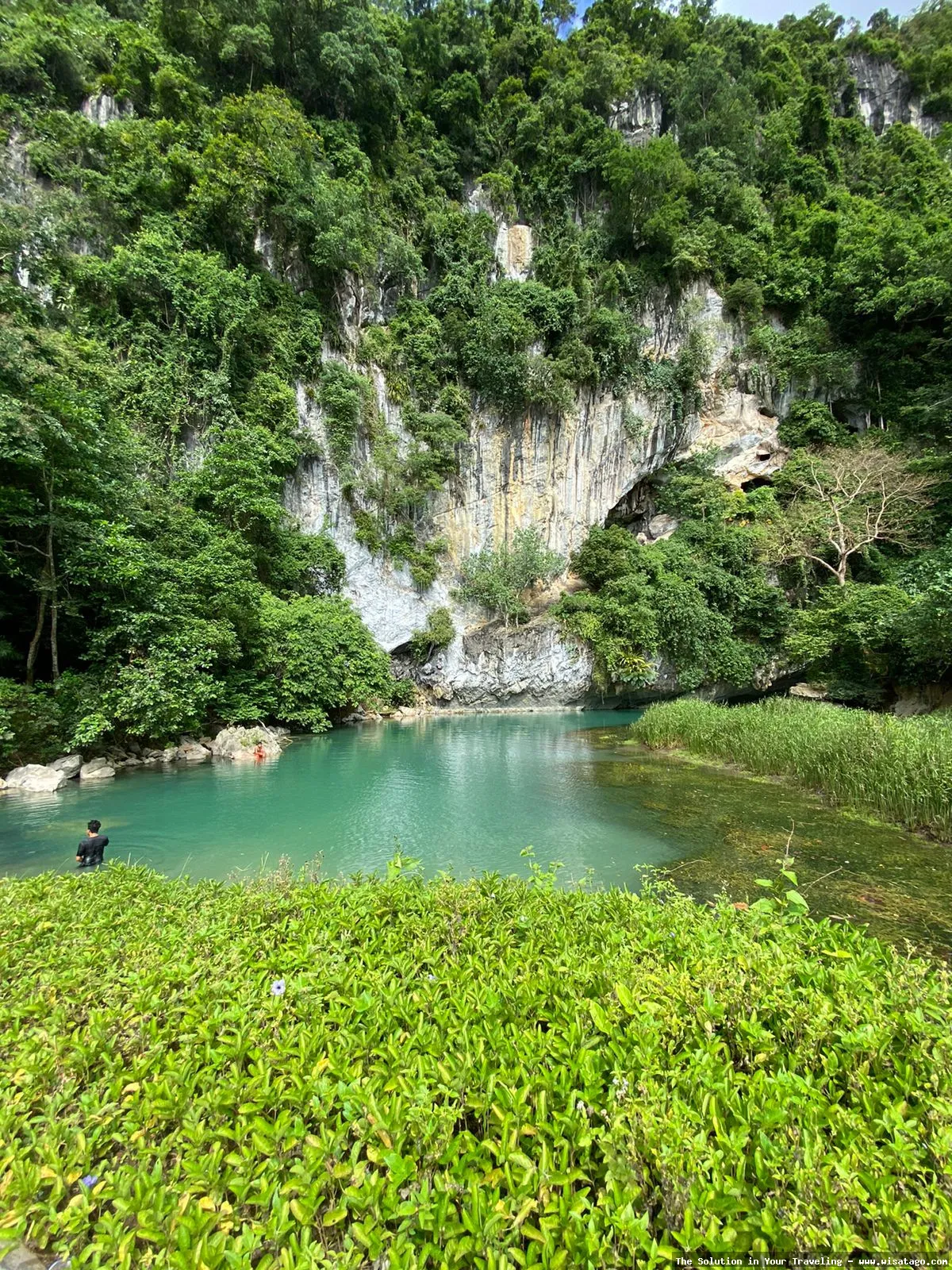 Pucok Krueng: hidangan khas Aceh.
