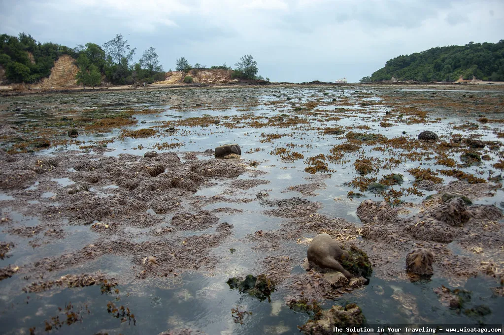 Pulau Biola: keindahan tersembunyi Bangka