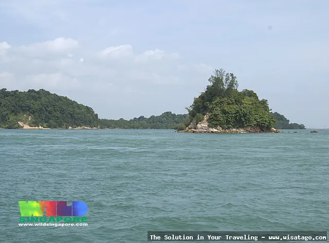 Pulau Biola, keindahan tersembunyi Bangka.