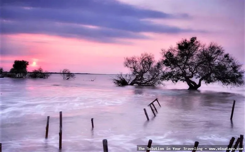 Pulau Cangkir, destinasi wisata bahari
