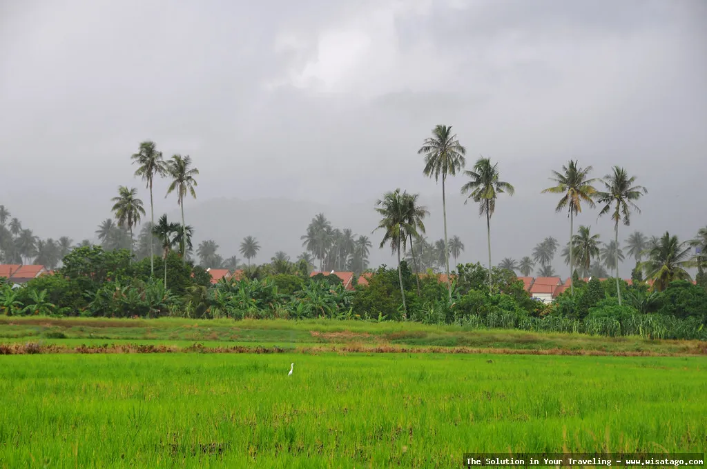 Pulau Cempa, keindahan alam memukau