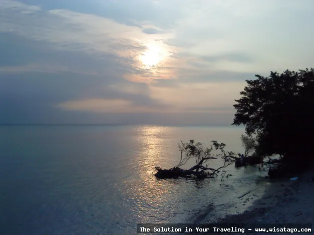 Pulau Damar, surga tersembunyi Indonesia