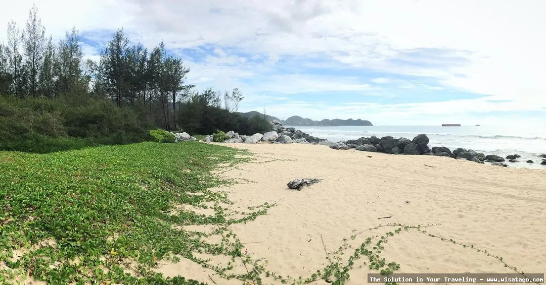 Pulau Kapuk: surga tersembunyi Indonesia