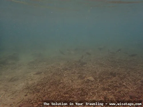 Pulau Mentigi, keindahan alam memukau