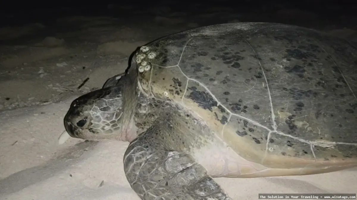 Pulau Pahat, keindahan alam memukau