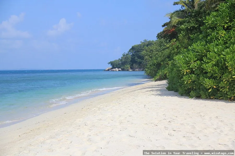 Pulau Pangkil, surga tropis tersembunyi