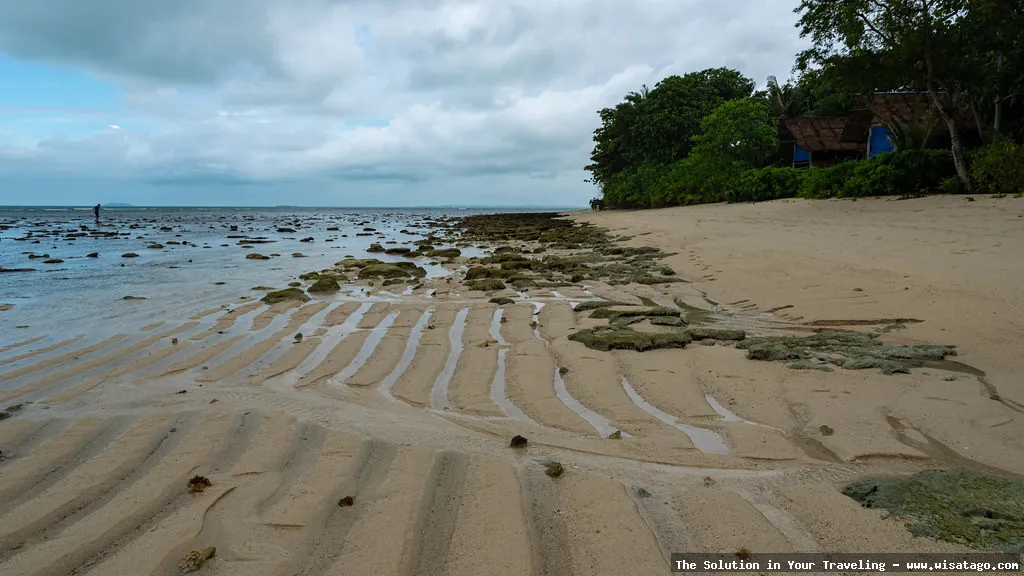 Pulau Pangkil, surga tropis tersembunyi