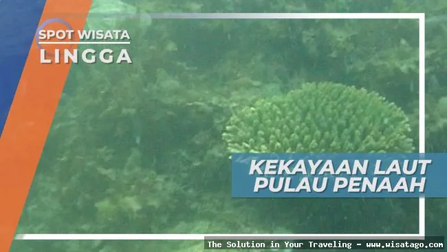 Pulau Penaah, pesona pulau eksotis.