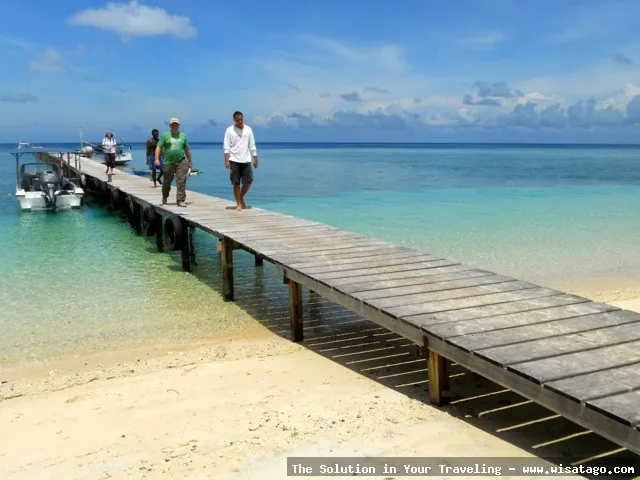 Pulau Selayar: keindahan bawah laut.