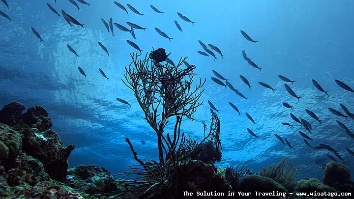 Pulau Selayar, keindahan alam memukau
