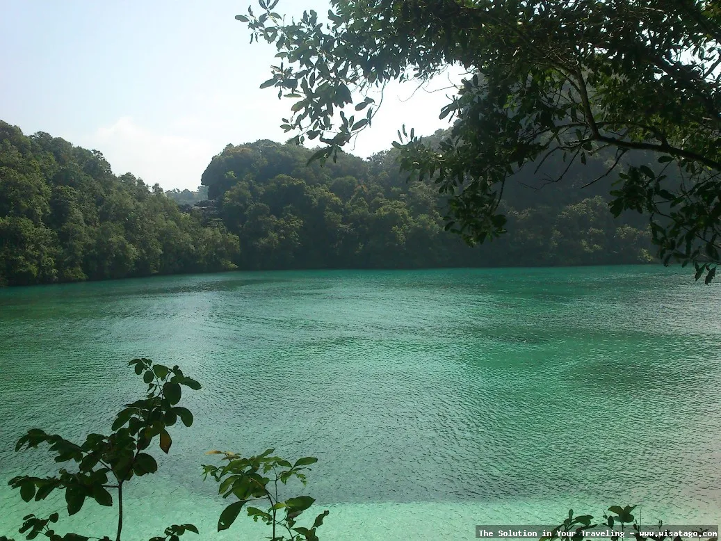 Pulau Sempu, keindahan tersembunyi Jawa Timur
