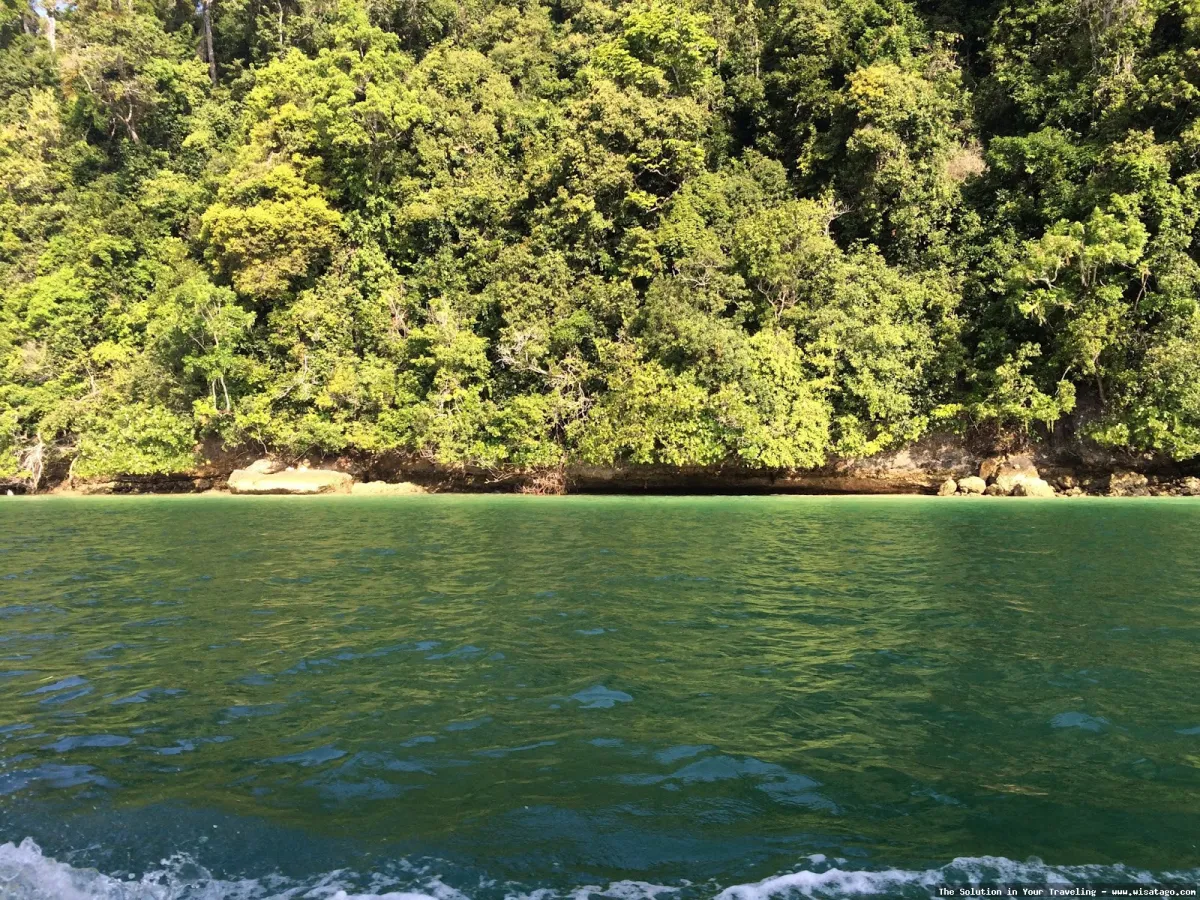 Pulau Sempu, surga tersembunyi Jawa Timur
